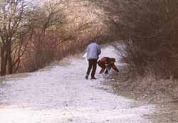 Rozpchli sme sa kade - tade