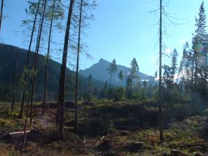 Tatry štyri roky po...