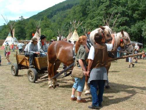 Cowboyi v indianskom tábore