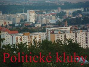 Politické kluby