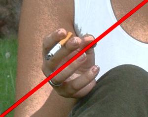 Zákaz fajčenia v Nemecku