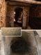 Sprístupnenie čachtických katakomb
