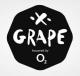 Grape festival 2013 - pozvánka na piatok